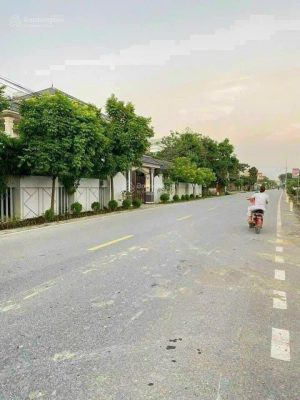 Bán đất đấu giá Dương Quang, Mỹ Hào, Hưng Yên