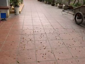 Cần bán gấp nhà 3 tầng mặt phố Sài Thị diện tích 337m²