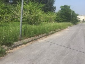 BÁN LÔ ĐẤT 140M2 TẠI NEW CITY PHỐ NỐI