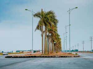Chính chủ cần chuyển nhượng một số lô đất sau tại dự án Vgreen city