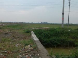 THANH LÝ LÔ ĐẤT CÔNG NGHIỆP 2HA MẶT ĐƯỜNG 200, ĐÃ SAN LẤP, CHỈ 1,4 TR/M2