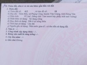 BÁN ĐẤT ĐẤU GIÁ PHỤNG CÔNG - VĂN GIANG