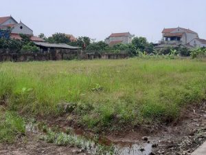 Bán 1100m² đất tại Đông Tảo - Khoái Châu