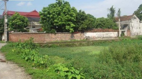 Cần bán 700m² đất thổ cư tại đội 5 thôn Duyệt Văn, Minh Tân, Phù Cừ