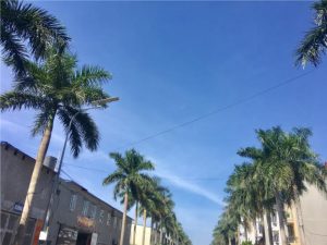 BÁN GẤP TRONG TUẦN: ĐẤT NỀN DỰ ÁN NEWCITY PHỐ NỐI KM 33, QL 39A, LIÊU TRUNG, LIÊU XÁ, YÊN MỸ, HƯNG YÊN.