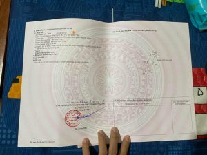 Bán 2 lô đất tại Nguyên Hòa - Phù Cừ - Hưng Yên
