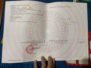 Bán 2 lô đất tại Nguyên Hòa - Phù Cừ - Hưng Yên
