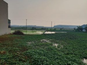 Bán lô đất giãn dân Đào Du - Phùng Chí Kiên - Mỹ Hào