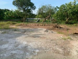 Chủ nhờ bán trang trại tuyệt đẹp tại Ân Thi - Hưng Yên