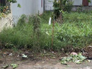 Bán 125m đất gần trường mầm non Tân Dân, đường ô tô tải chạy