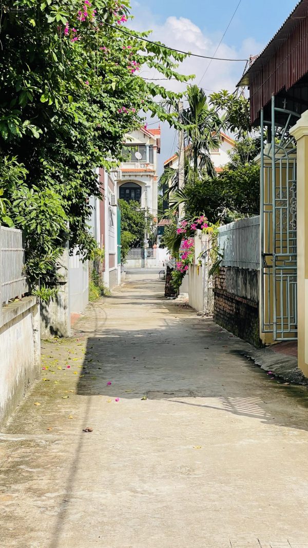 full thổ cư mặt tiền 11,9m đường ôtô thông vị trí trung tâm xã Liên Nghĩa - Văn Giang