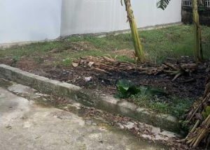 Cần bán 100m2 đất full sổ đỏ chính chủ tại Thôn Tây Thịnh, Thọ Vinh, Kim Động, Hưng Yên