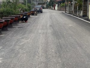 Cần bán 123 m2 đất ở mặt đường apphan tại Phi Liệt Liên Nghĩa Văn Giang Hưng Yên, giáp ĐT Xuân Cầu