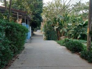 1000m2 có 1 nửa thổ cư, thích hợp phân lô xây biệt thự, ngõ ô tô tải tận đất