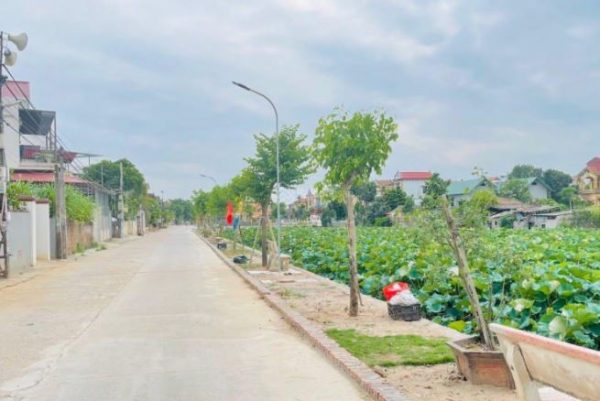 Bán đất thổ cư thôn Phi Liệt xã Liên Nghĩa - Văn Giang - Hưng Yên