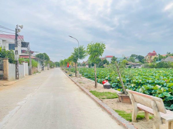 Bán đất thổ cư thôn Phi Liệt xã Liên Nghĩa - Văn Giang - Hưng Yên