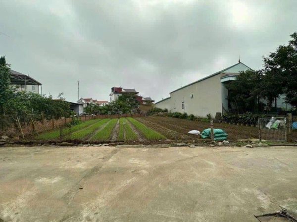 200m2 Đất lô góc đường 2 ô tô tránh nhau, gần đô thị, gần vành đai 4