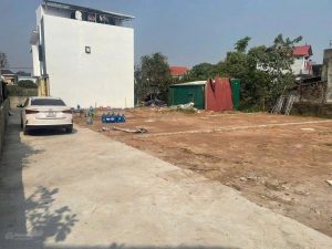 Bán lô đất 103,3m tại CD Quán Trạch, Liên Nghĩa , Văn Giang, đường hơn 3m ô tô vào thoải mái