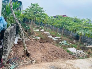 Bán đất tại Xã Tân Dân, Khoái Châu, Hưng Yên, 17 triệu VND/m2, 120.6m2