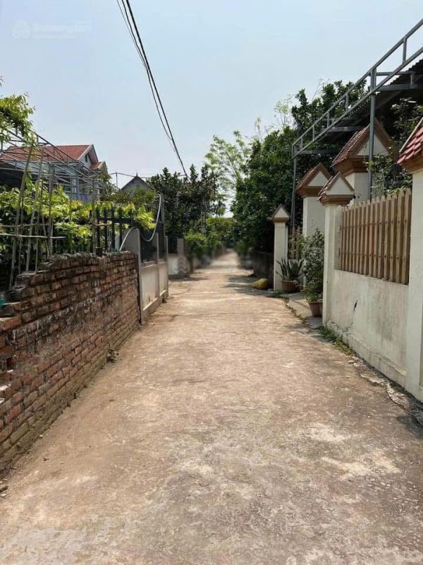 Sở hữu 122m2 tại Mễ Sở, Văn Giang đường ô tô chạy mà giá chỉ hơn 2xtr/m2 quá rẻ để đầu tư