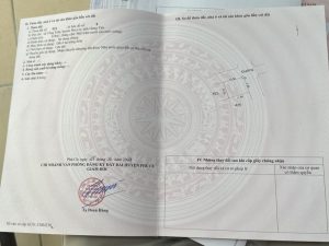 Lô góc 116m2 đấu giá Tống Trân, tại khu nghỉ dưỡng Khoáng Nóng do Sun group triển khai