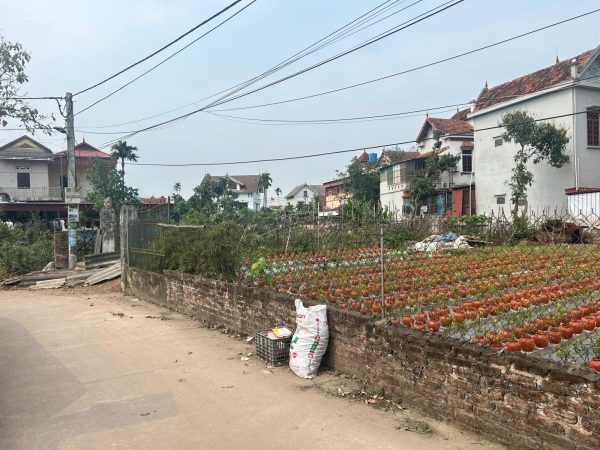 Bán Đất 106,5m² Gần Vành Đai 4 – Giá Chỉ Hơn 3 Tỷ, Cơ Hội Vàng Đầu Tư!
