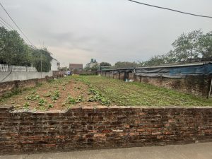 Siêu phẩm Đông Tảo – 550m² full thổ cư, chỉ từ 1x triệu/m²