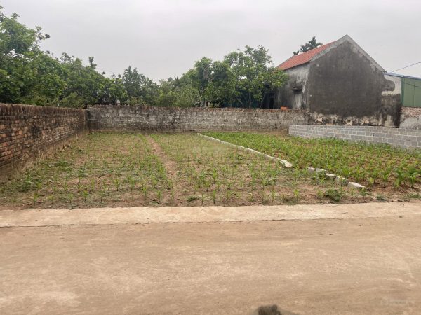 Siêu phẩm Đông Tảo – 550m² full thổ cư, chỉ từ 1x triệu/m²