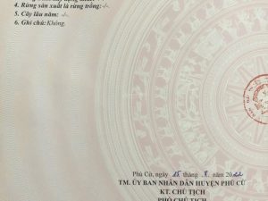 Lô góc đấu giá Tống Trân - Dự Án Khu Du Lịch Suối Khoáng Nóng, sát trục xương sống của HY