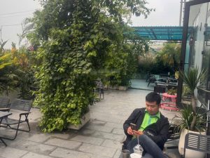 Bán 86m² đất dịch vụ Ngã 5 Phi Liệt – Liên Nghĩa – Văn Giang, giá chỉ nhỉnh 7x triệu/m² – Đang cho thuê