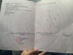 Cơ hội vàng: Bán 196m² đất vị trí đẹp hiếm có tại trung tâm Chỉ Đạo, Văn Lâm – Gần Ocean Park
