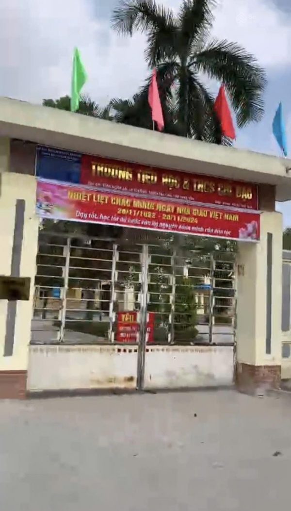 Cơ hội vàng: Bán 196m² đất vị trí đẹp hiếm có tại trung tâm Chỉ Đạo, Văn Lâm – Gần Ocean Park
