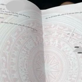 Bán lô đất đấu giá Yên Hòa, Yên Mỹ 100m² – Mặt tiền 5m cực đẹp, bám đường LT 379, gần chợ nông sản
