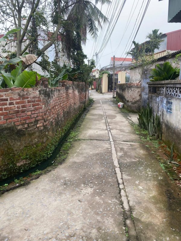 Bán 76.5m2 BDS giá trị thực tại Thôn Tử Cầu, Giai Phạm, Yên Mỹ