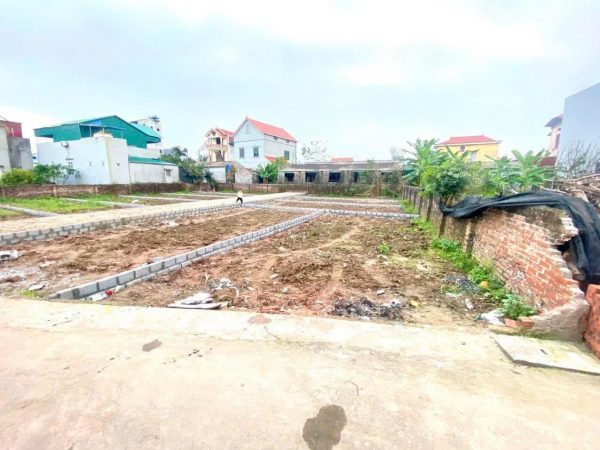 Chỉ với 2tỷ sở hữu ngay siêu phẩm ô tô vào đất tại Đan Kim- Liên Nghĩa 58.5m2 giáp đại lộ Đông Tây