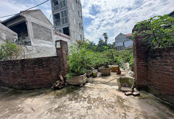 Chính chủ bán 245m2 full thổ cư ngõ thông tại Đan Kim, Liên Nghĩa, Văn Giang, Hưng Yên