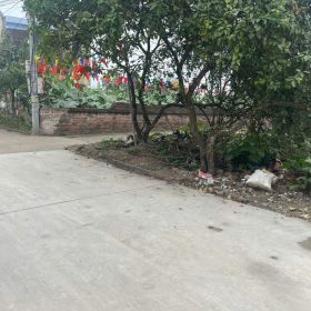 Bán lô góc 118m cực đẹp tại Đông Tảo, Khoái Châu