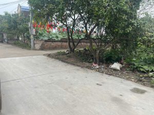 Bán lô góc 118m cực đẹp tại Đông Tảo, Khoái Châu