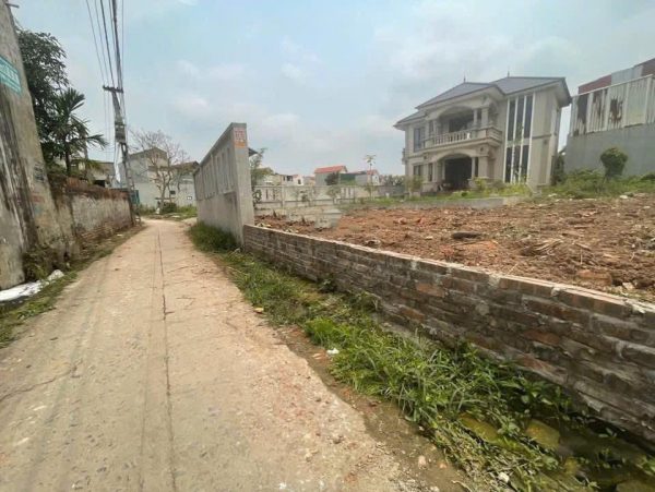 Bán đất tại Tử Cầu, 1,9 tỷ, 64,7m2, hàng hiếm ở Giai Phạm, Yên Mỹ, Hưng Yên
