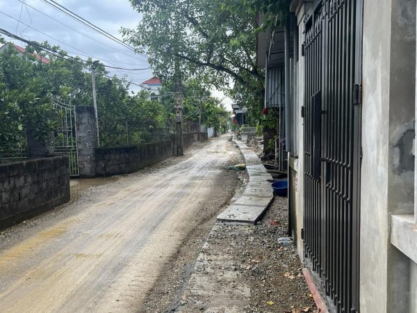 Cần Bán Gấp 545m² Đất Mặt Đường 382 – Mặt Tiền 20m – Cách Chợ Đông Tảo 300m