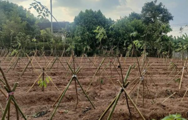 HÀNG HIẾM! Có 1 lô 240m2 View Sông Quê tại Đông Tảo, Trục chính thông 2 ô tô tránh