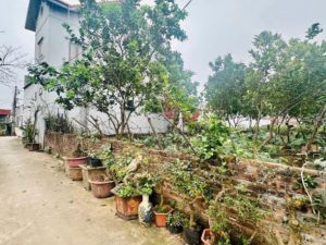 Tài chính 2tỷ1 sở hữu ngay mảnh đất tại Vĩnh Tuy- Liên Nghĩa- Văn Giang giáp đt 379 và cụm công ty