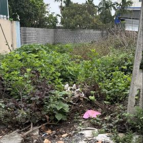 Cần bán 137,4 m² đất  (bao sổ) chính chủ 21tr/m2 tại Đường 379, Xã Tân Dân, Khoái Châu, Hưng Yên