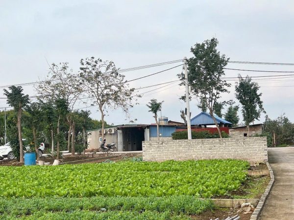 Bán đất 88m2 Siêu Đẹp Đông Tảo - Khoái Châu Sát chợ đầu mối chỉ với 2tỷ 332triệu