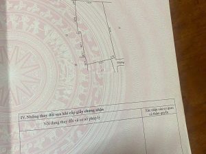 Bán đất giá rẻ, vị trí đẹp tại An Vĩ, Khoái Châu, Hưng Yên