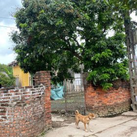 Bán đất Đông Tảo Khoái Châu – 200m2, mặt tiền 15m, ngõ thông ô tô, gần chợ, giá chỉ 2.x triệu/m2