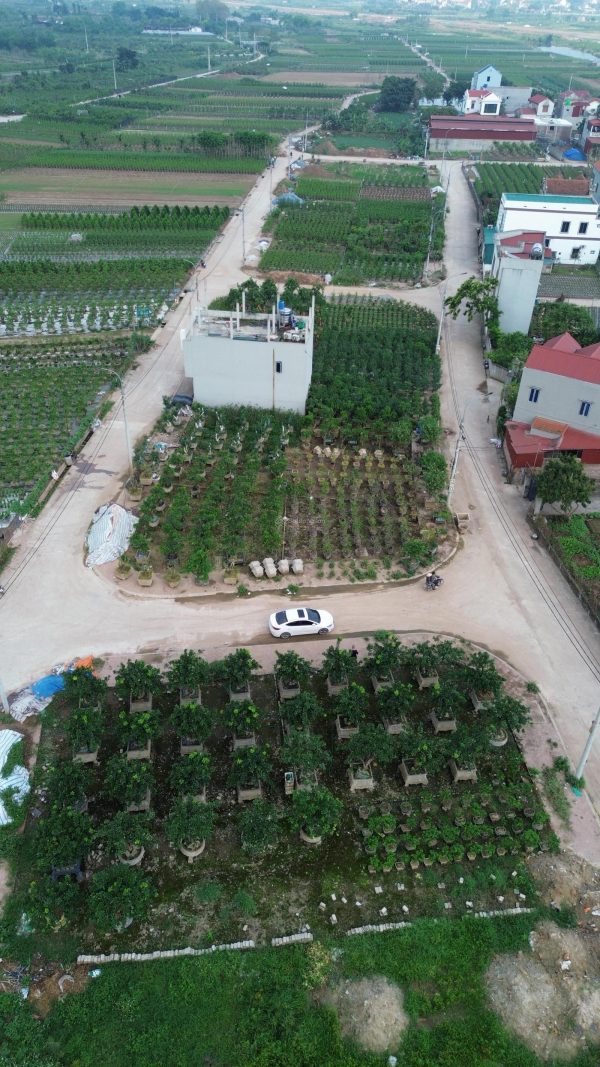 Bán siêu phẩm góc Đấu giá Hoàng Trạch, Mễ Sở vuông như bánh chưng 138.5m2