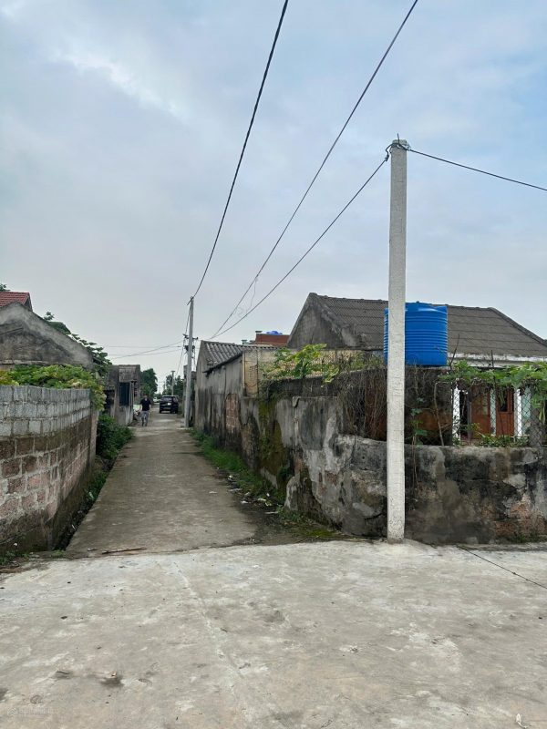 Bán ngay 373.1m2 đất mặt tiền 20m tách thửa đẹp tại Tống Trân, Phù Cừ, Hưng Yên