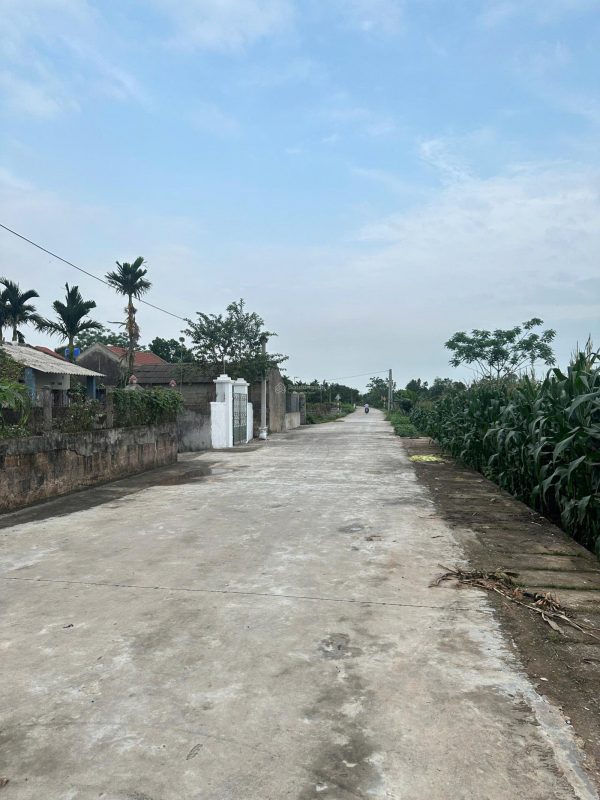 Bán ngay 373.1m2 đất mặt tiền 20m tách thửa đẹp tại Tống Trân, Phù Cừ, Hưng Yên