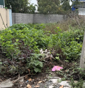21tr/m2 (bao sổ) chính chủ - đường 4m ô tô vào tận đất. Quanh khu đông dân, văn hoá, tiện ích
